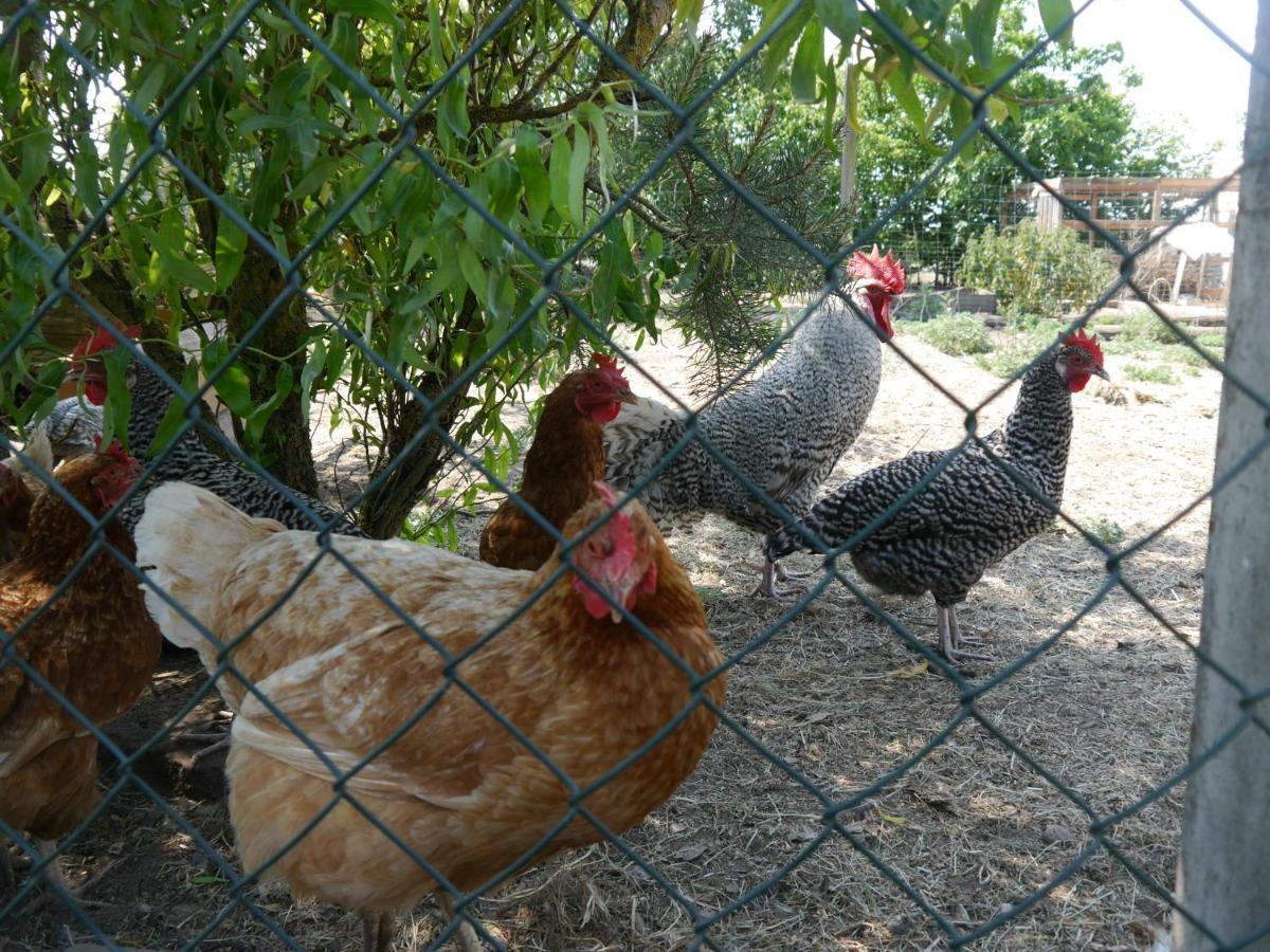 Mit Terrasse In Der Uckermark Milmersdorf